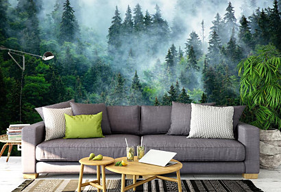 Fototapeta Morning mist 